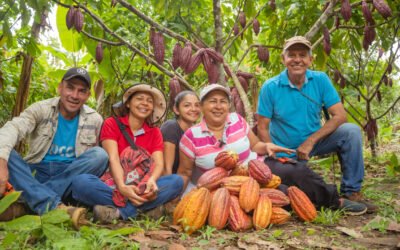 El Efecto Cacao es finalista en los Premios Lazos 2024: ¡Apóyanos con tu voto!
